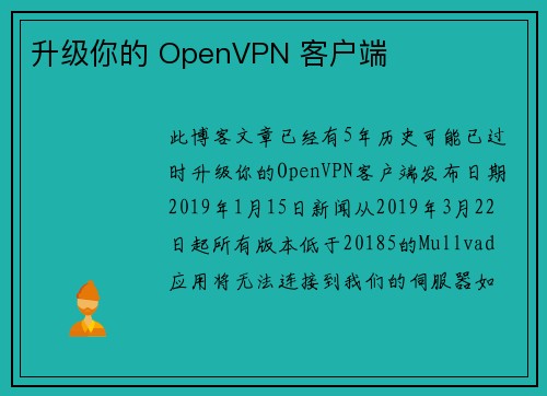 升级你的 OpenVPN 客户端 